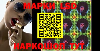 шишки Лесосибирск