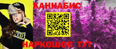шишки Лесосибирск