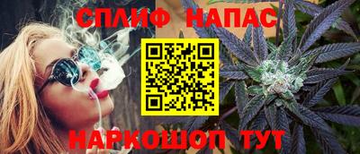 шишки Лесосибирск