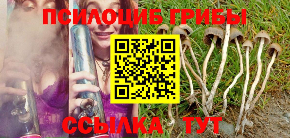 Галлюциногенные грибы мухоморы Вязники