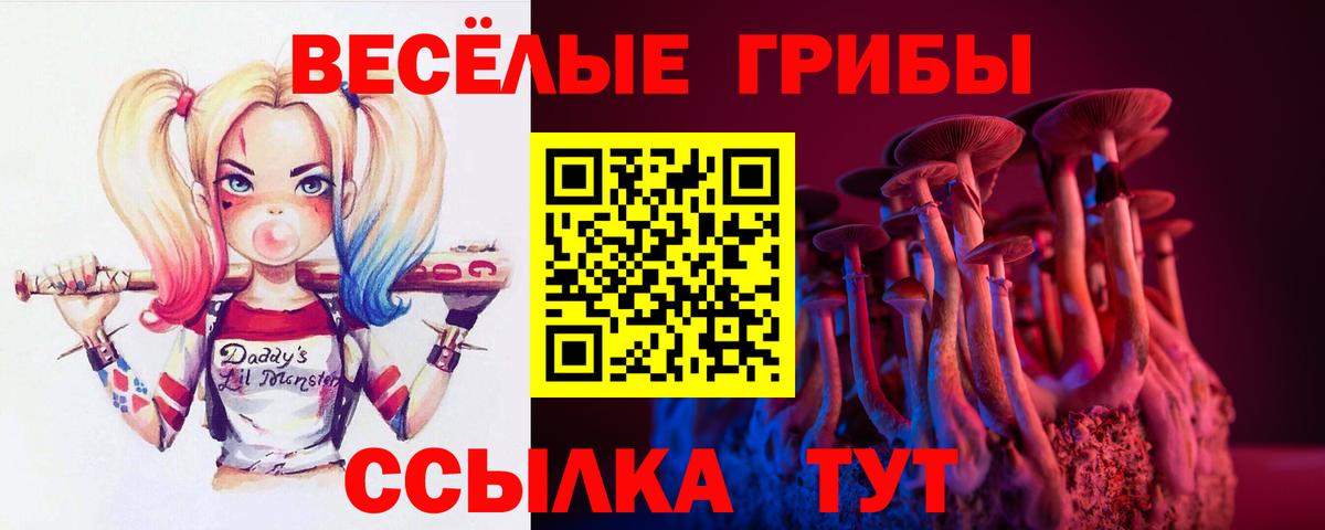 Псилоцибиновые грибы GOLDEN TEACHER  Галлюциногенные грибы ЛСД  Вязники  Вход с VPN 